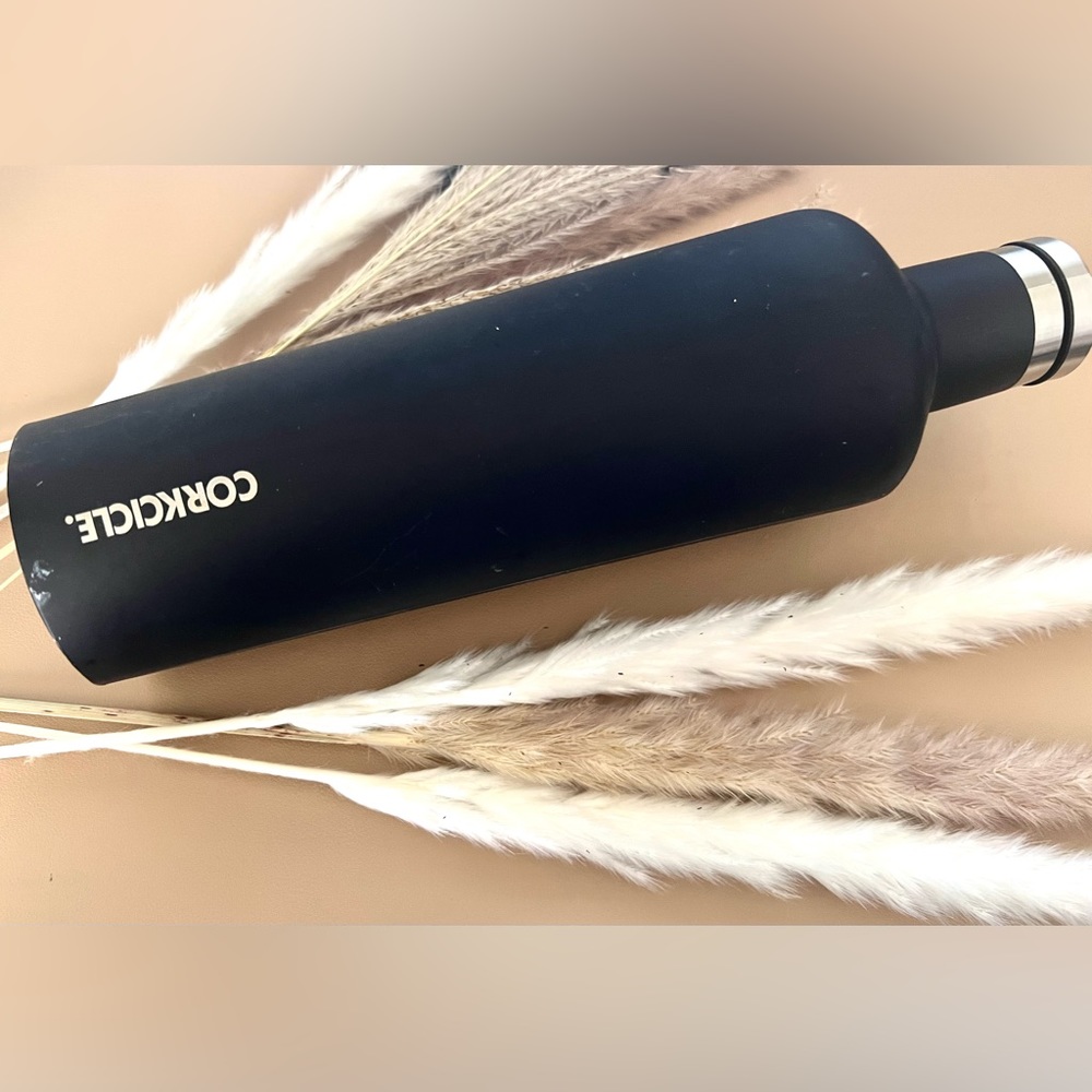 Corkcicle Canteen